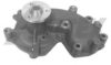 AIRTEX 1788 Water Pump